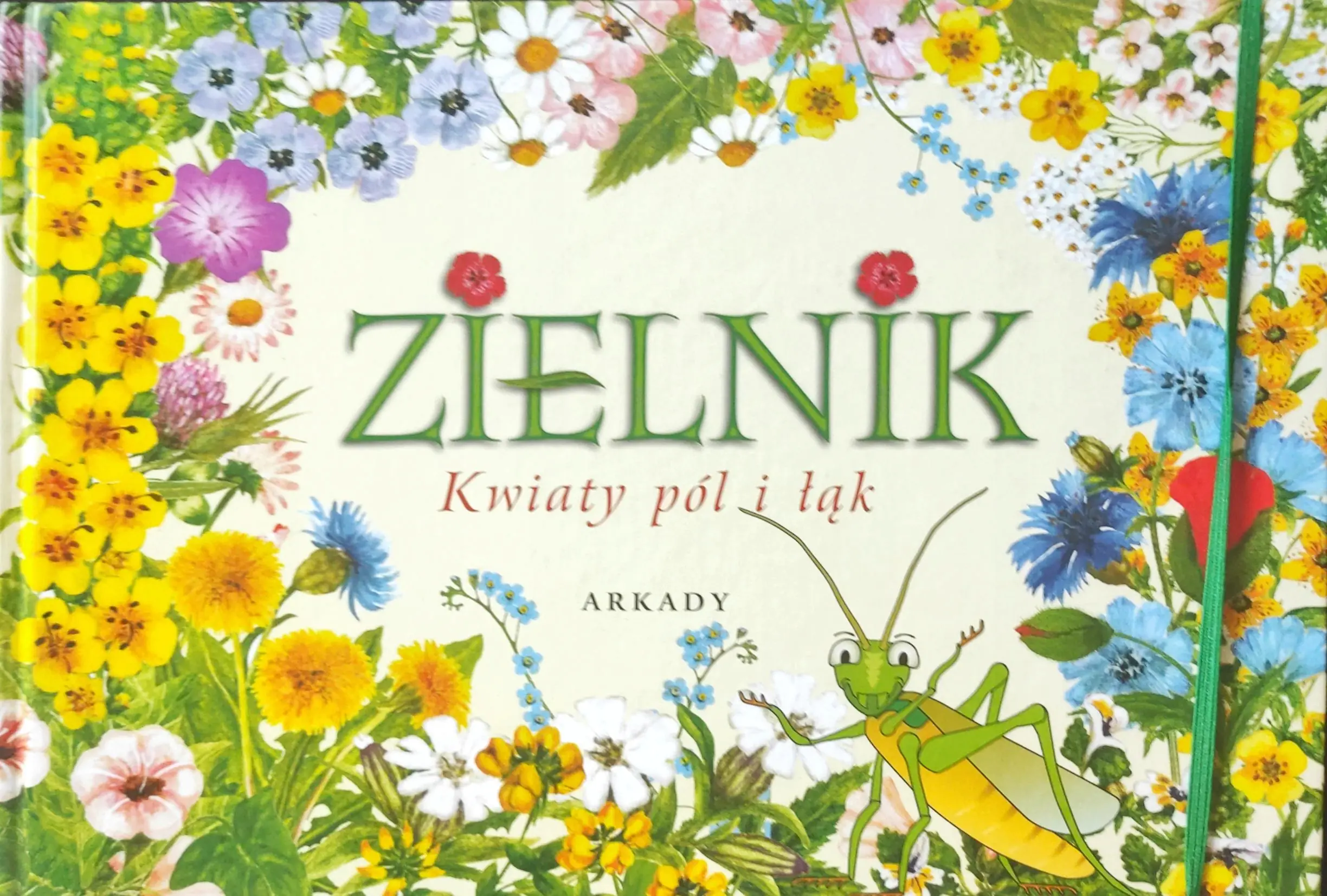 Książka - Zielnik. Kwiaty pól i łąk