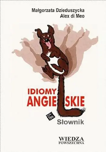 Książka - Idiomy angielskie. Słownik
