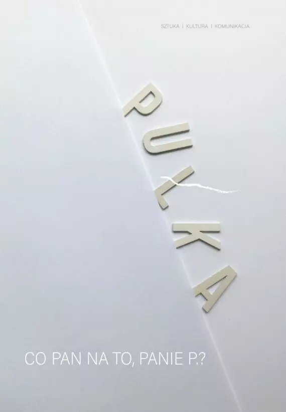 Książka - Co Pan na to, Panie P.?