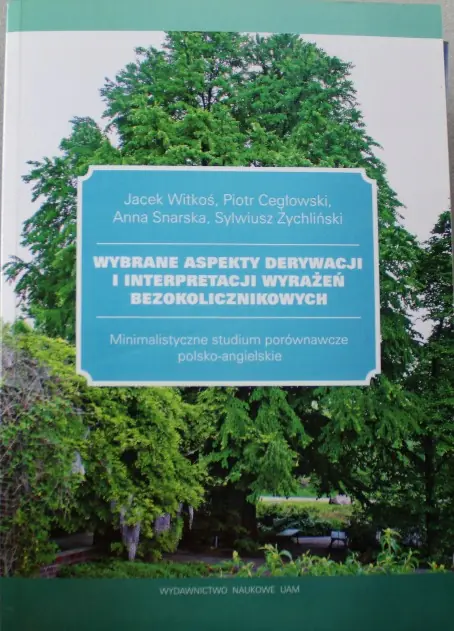 Książka - Wybrane aspekty derywacji i interpretacji wyrażeń bezokolicznikowych. Outlet
