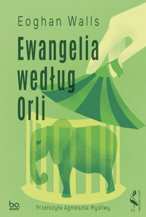 Książka - Ewangelia według Orli