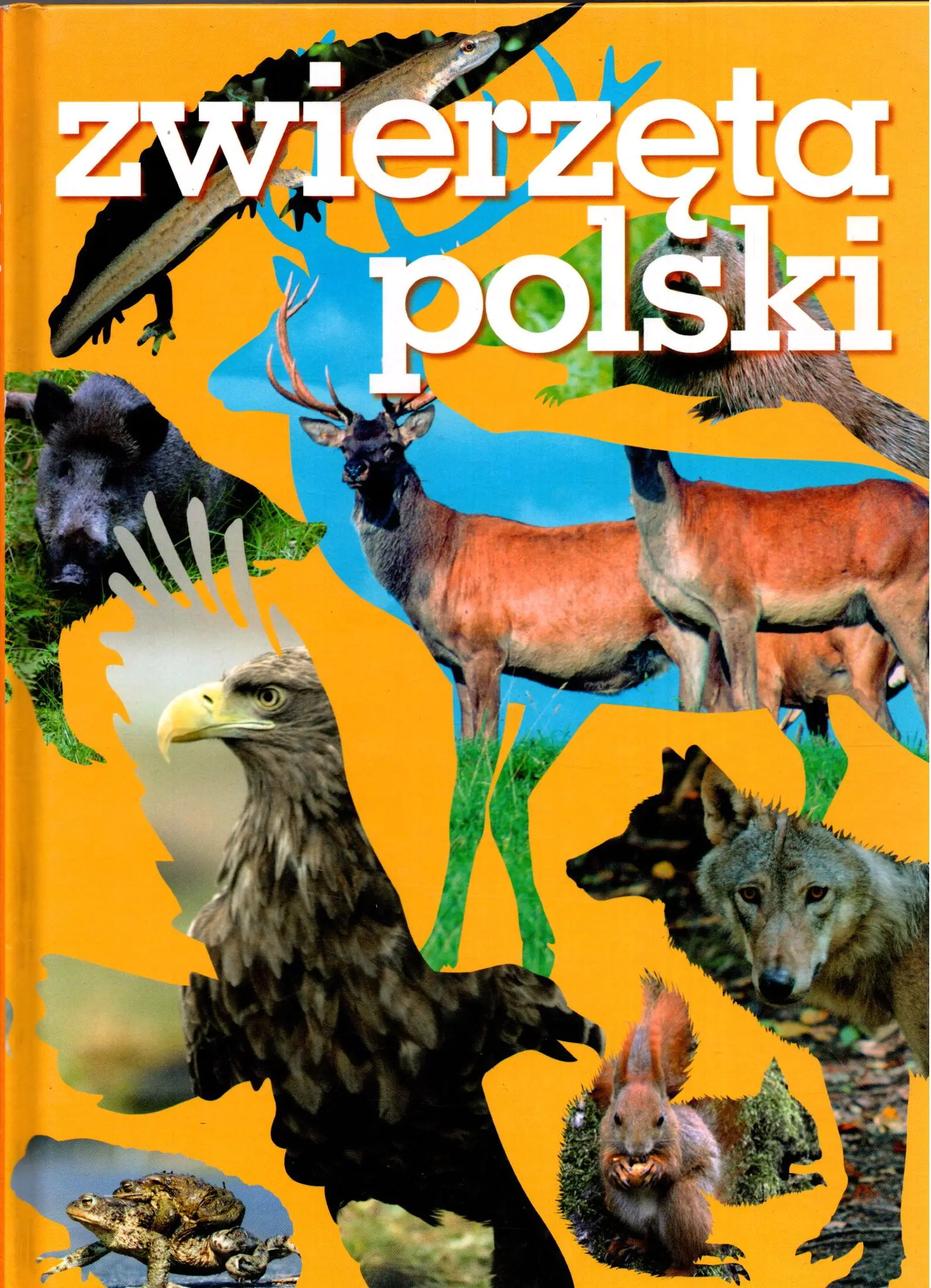 Książka - Zwierzęta Polski