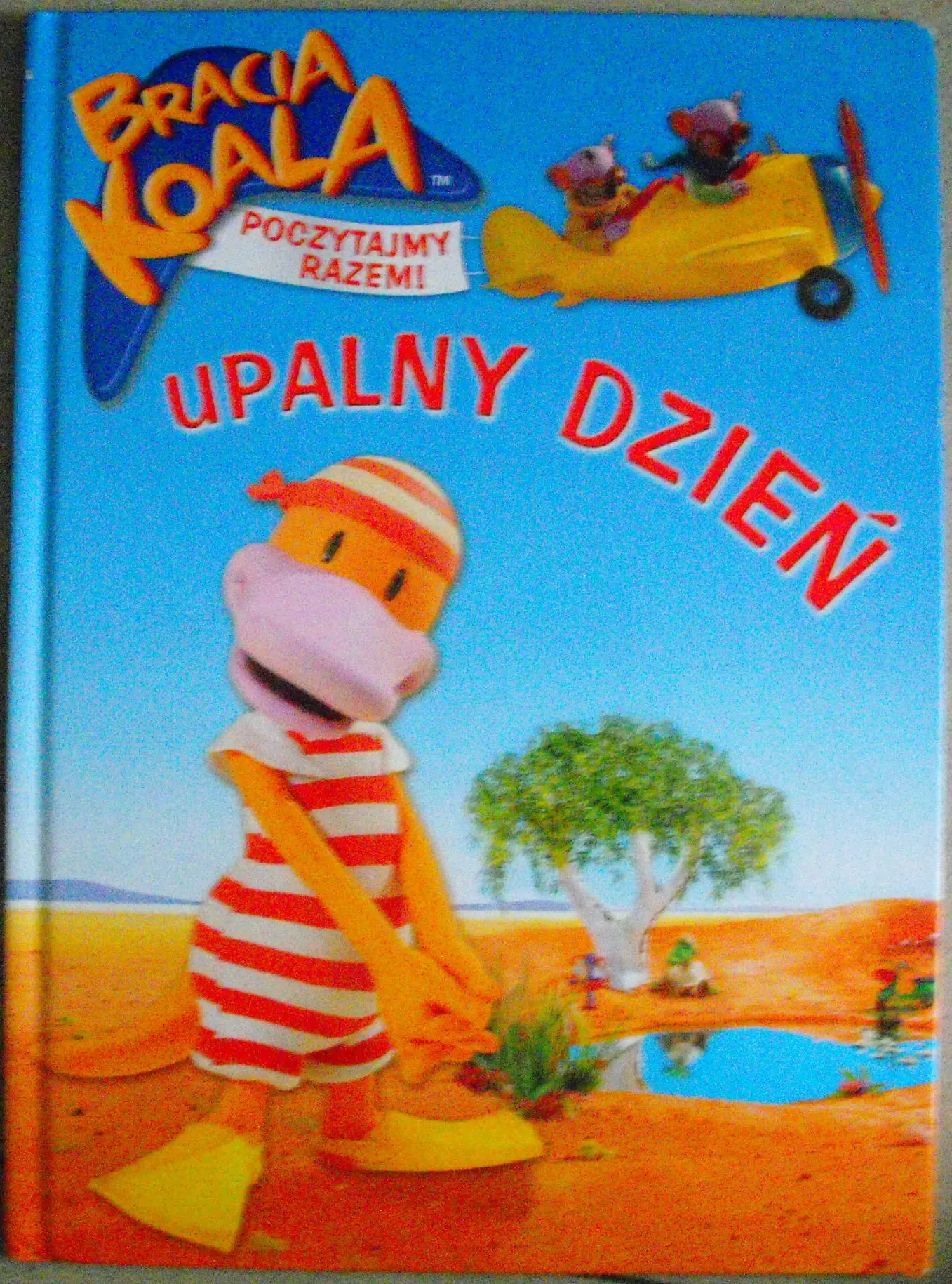 Książka - Upalny dzień