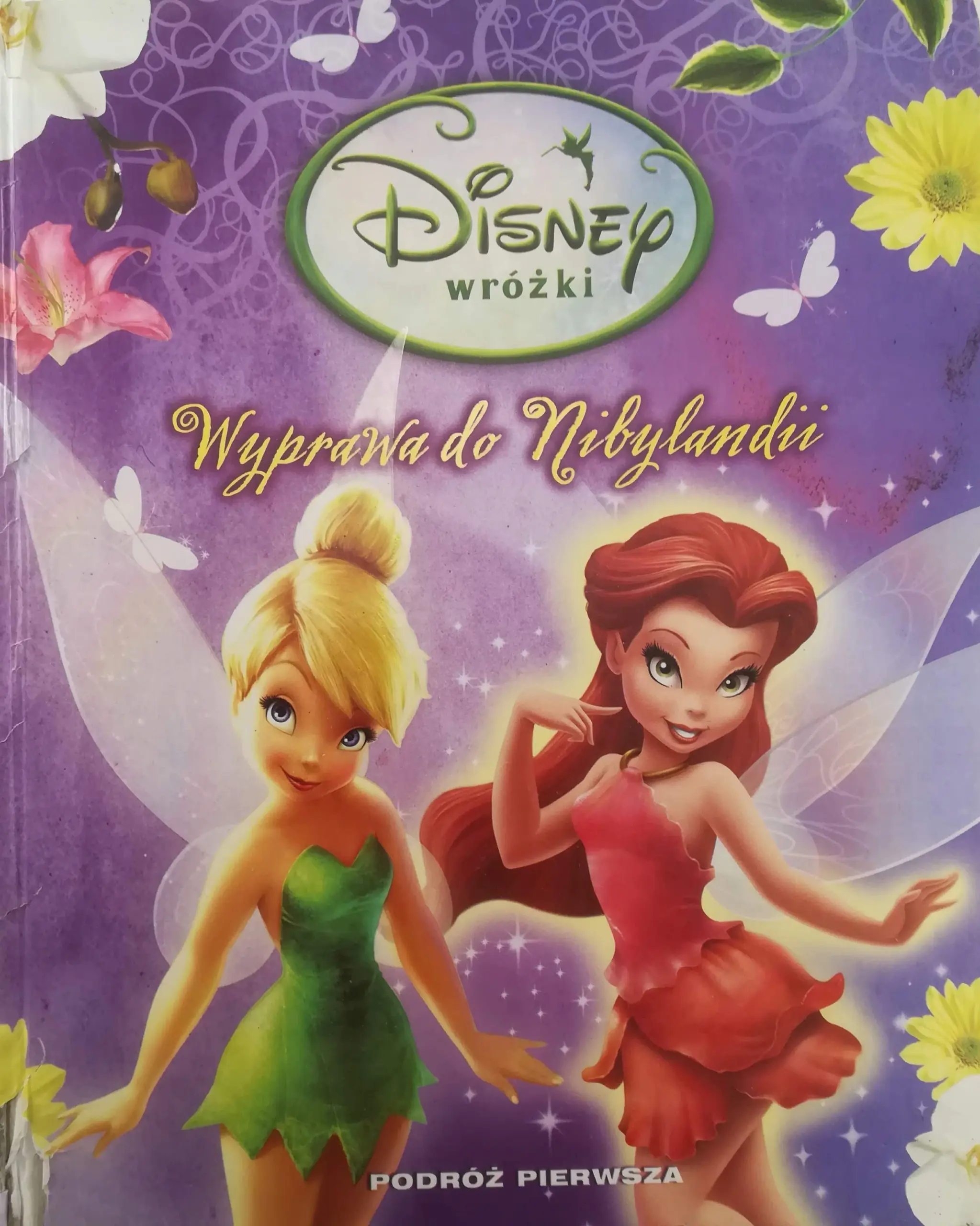 Książka - Wróżki. Wyprawa do Nibylandii