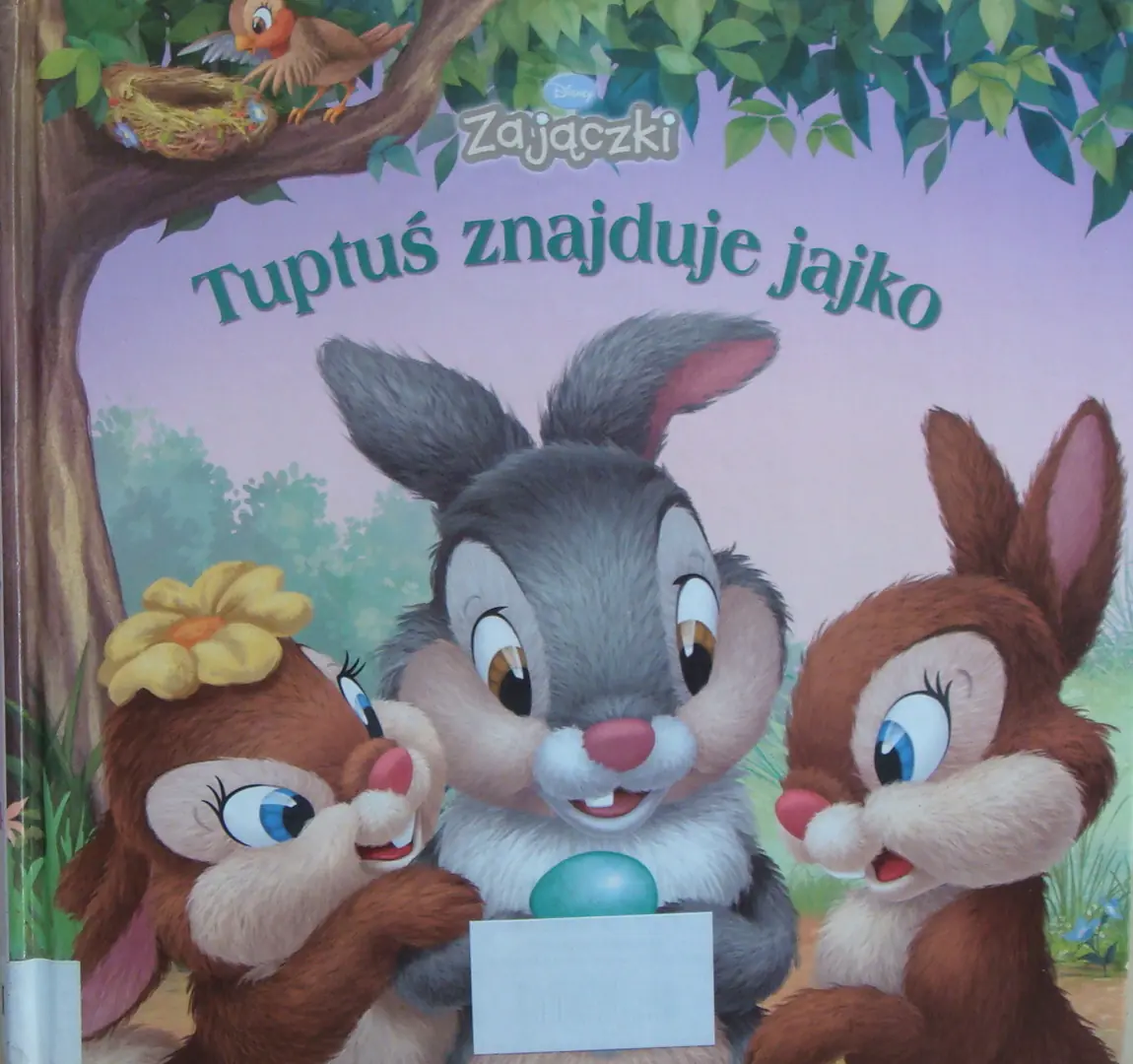 Książka - Tuptuś znajduje jajko