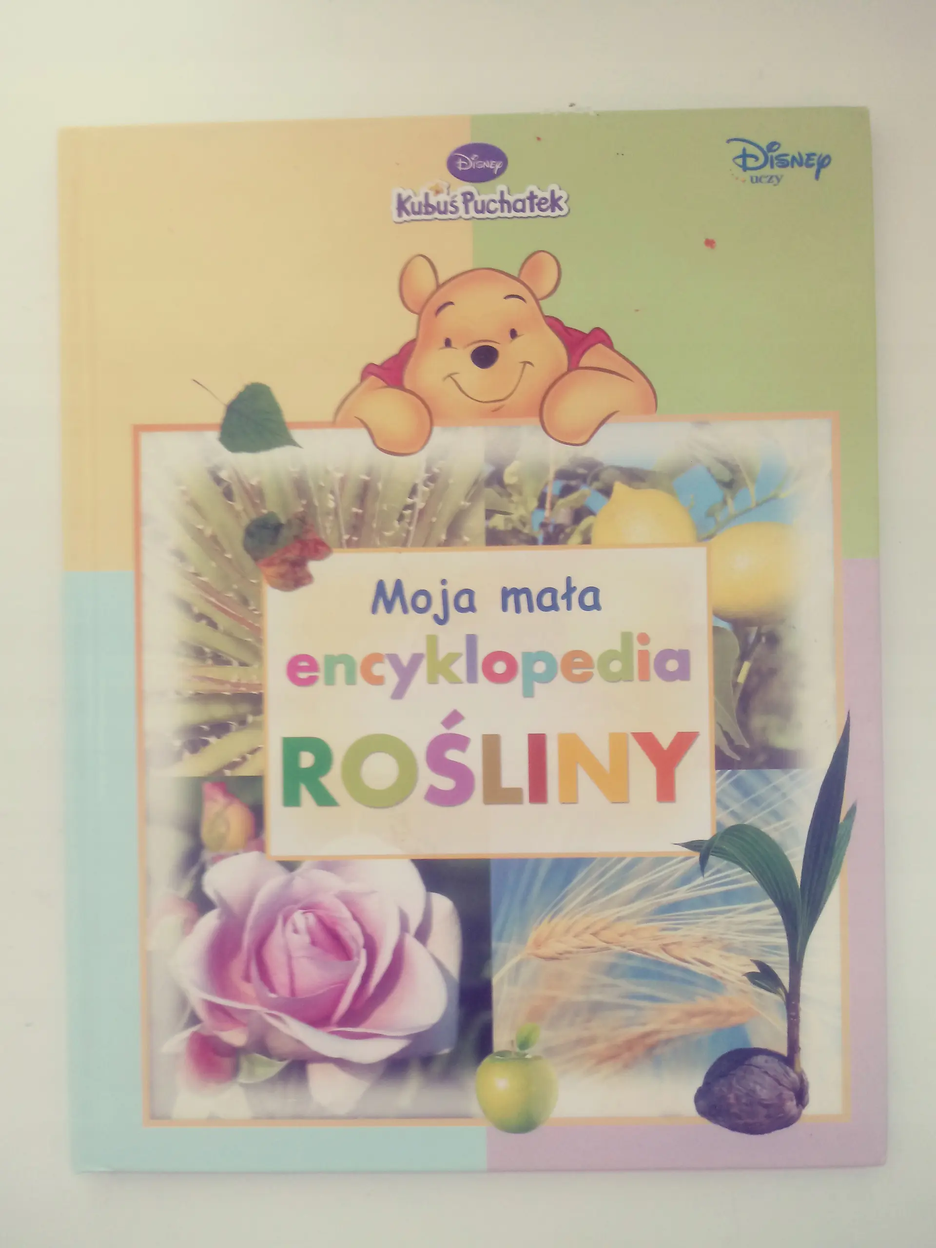 Książka - Moja mała encyklopedia. Rośliny