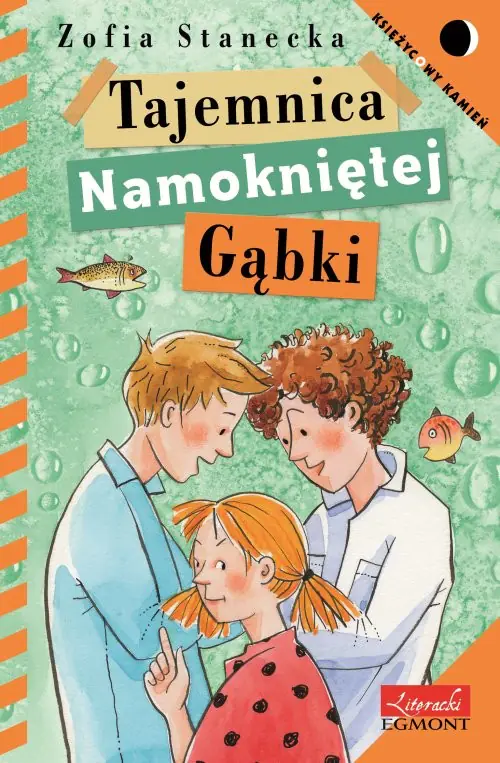 Książka - Księżycowy kamień. Tajemnica namoknietej gąbki