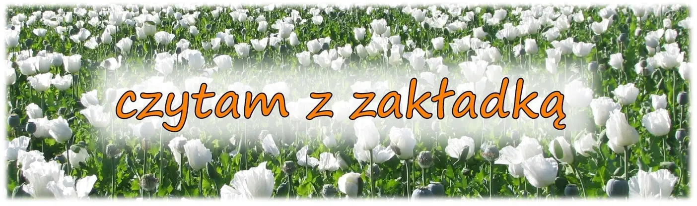 Książka - Klątwa Mąciwodziciela. Kroniki Kresu. Tom 4