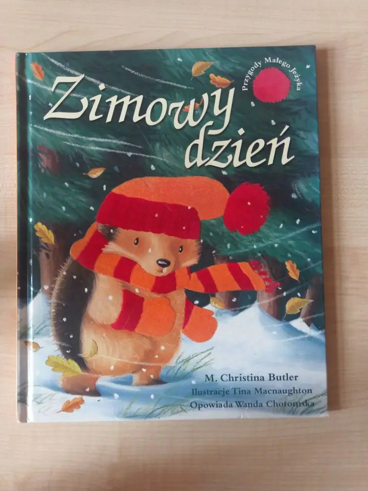 Książka - Zimowy dzień