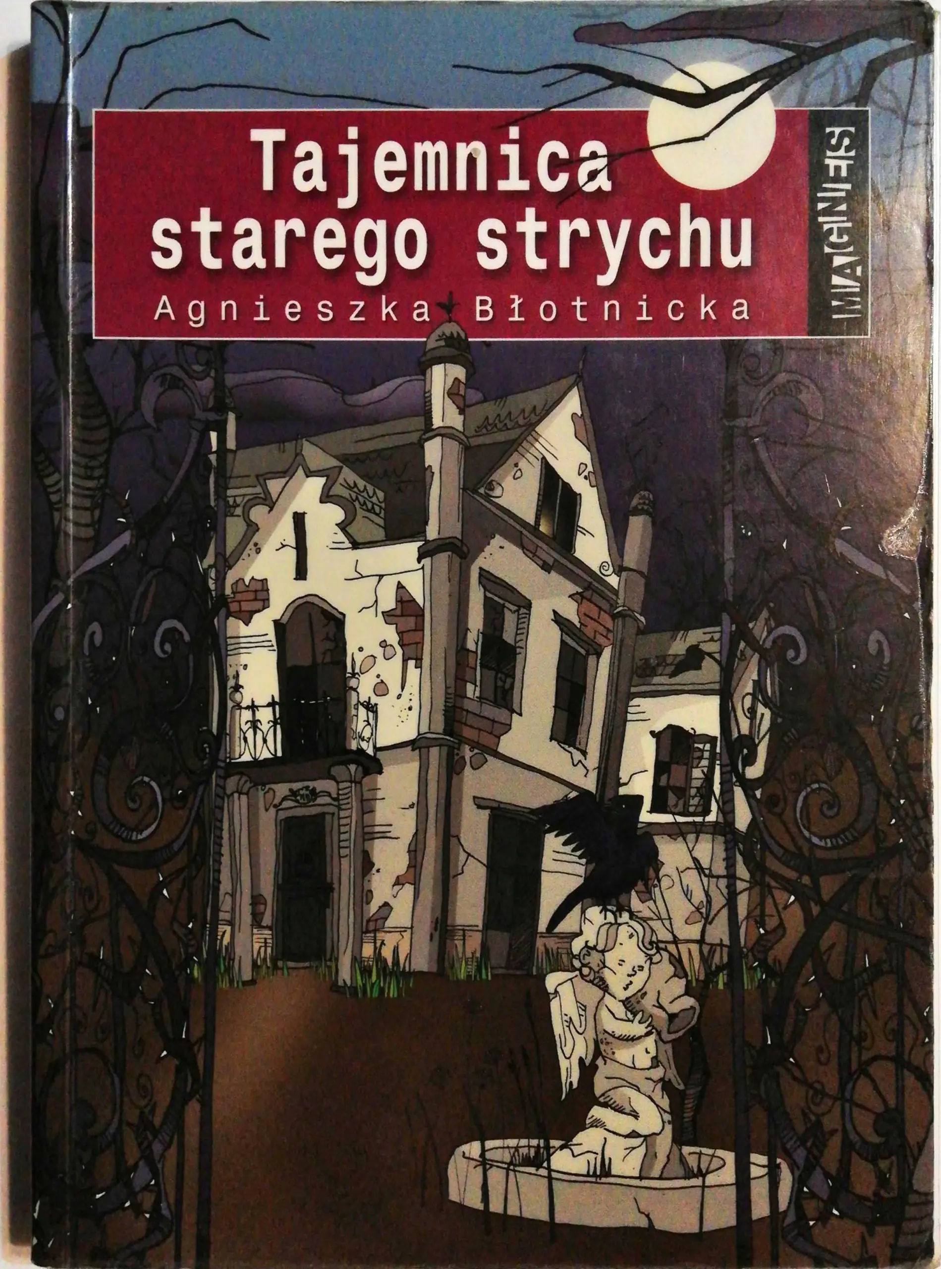 Książka - Magnes. Tajemnica starego strychu