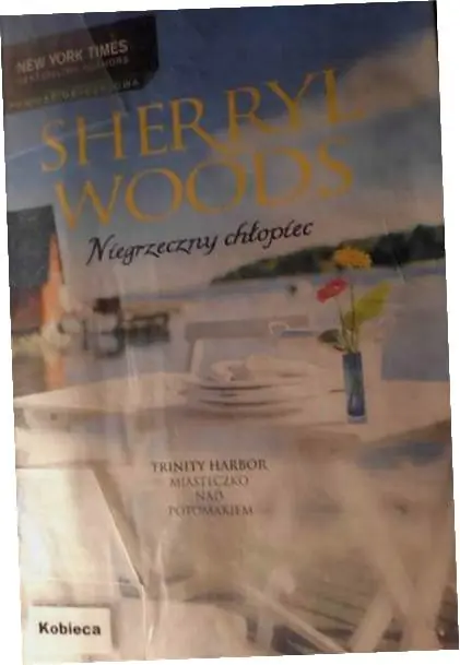 Książka - Niegrzeczny chłopiec