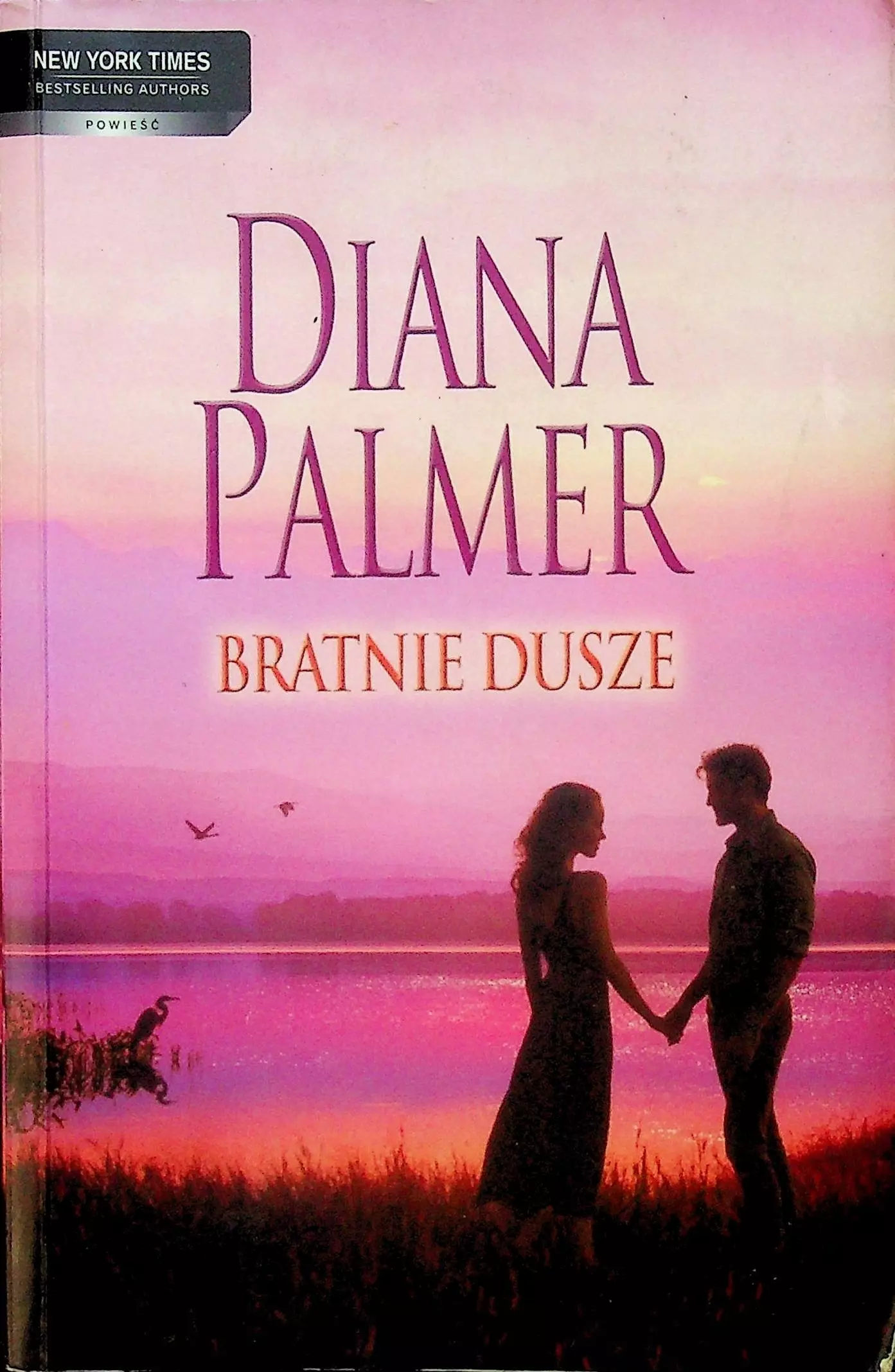 Książka - Bratnie dusze