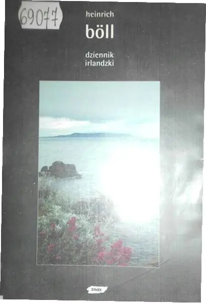 Książka - Dziennik irlandzki