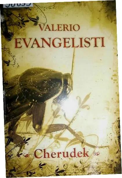 Książka - Cherudek