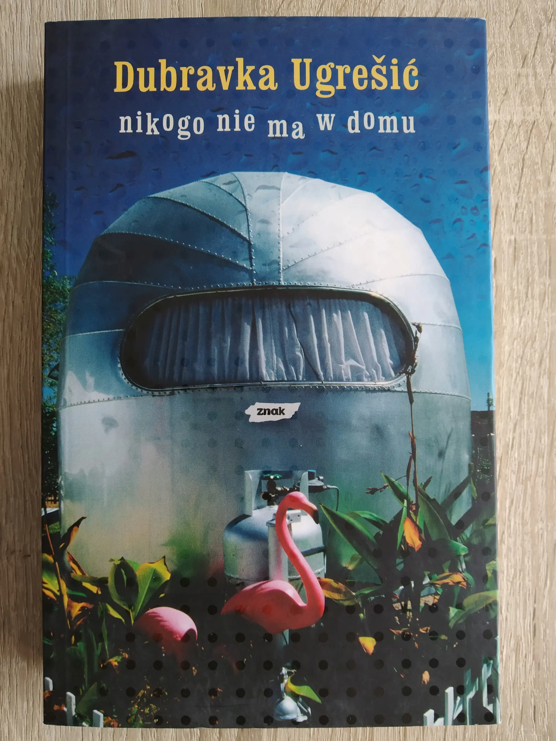 Książka - Nikogo nie ma w domu