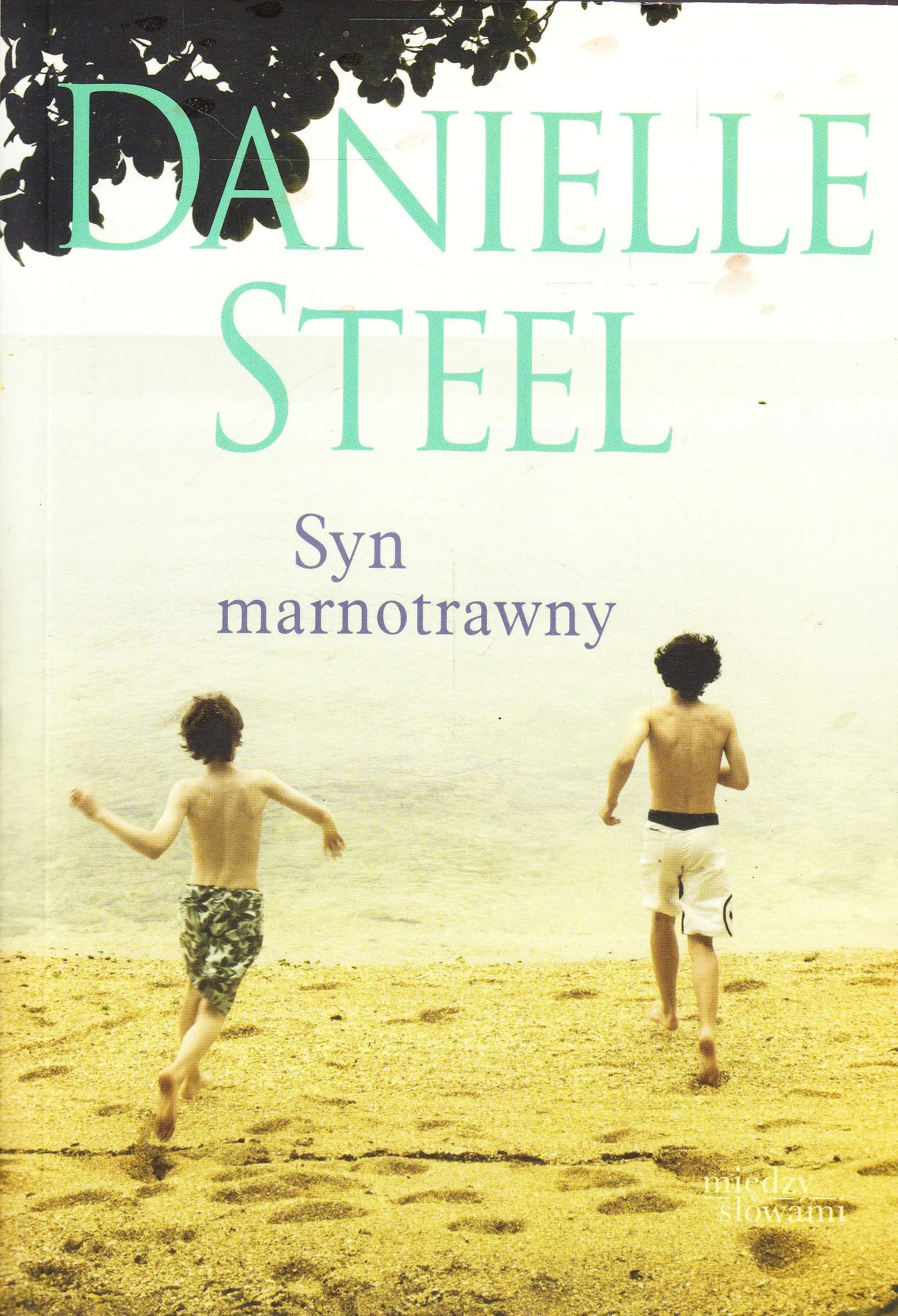 Książka - Syn marnotrawny