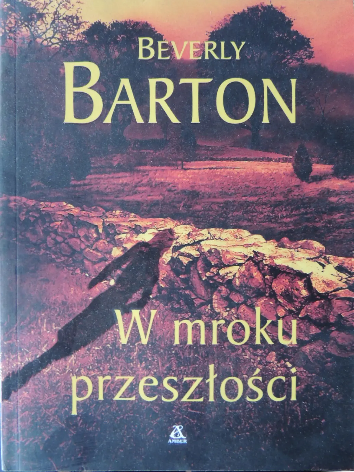 Książka - W mroku przeszłości