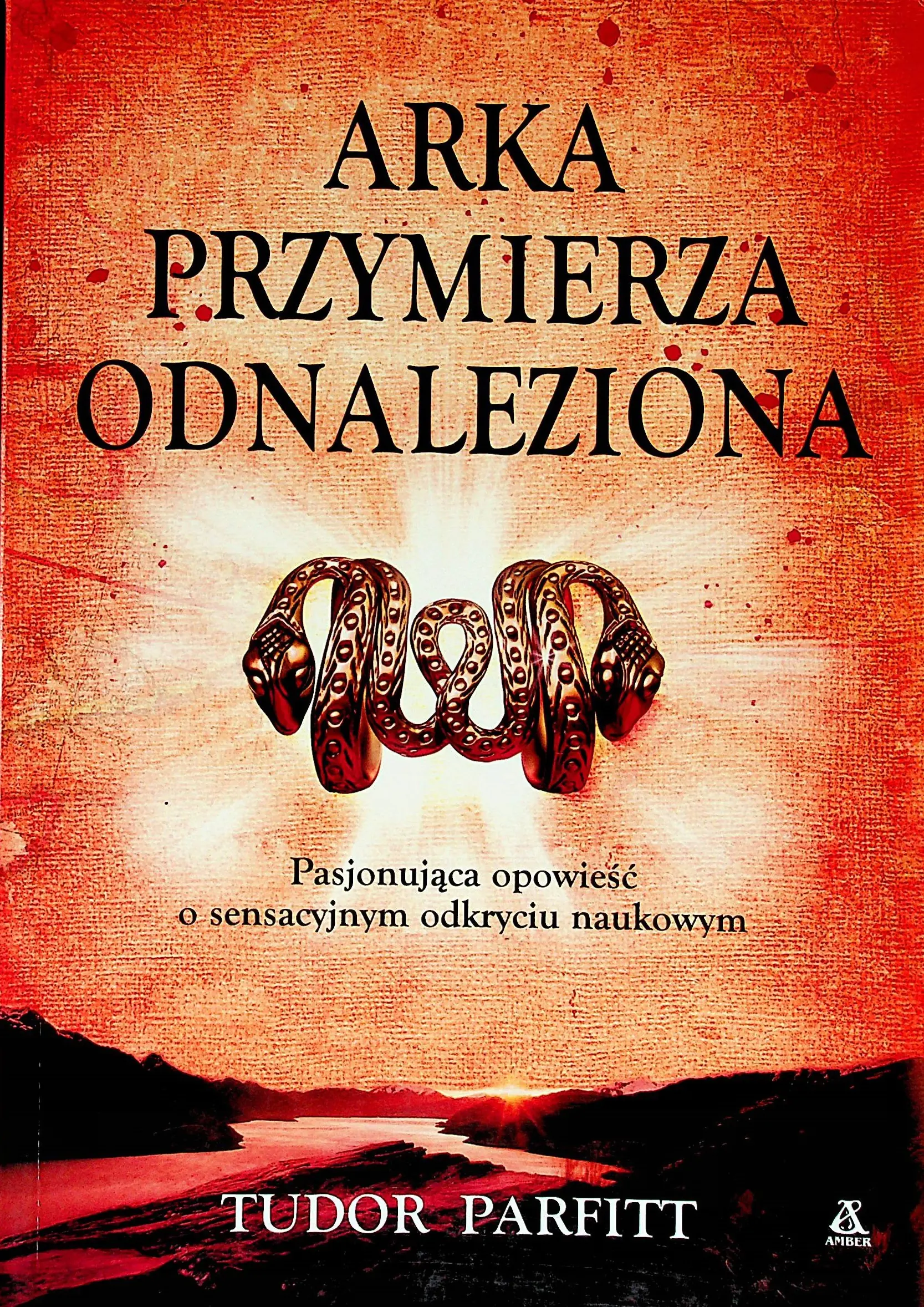Książka - Arka Przymierza Odnalezioma