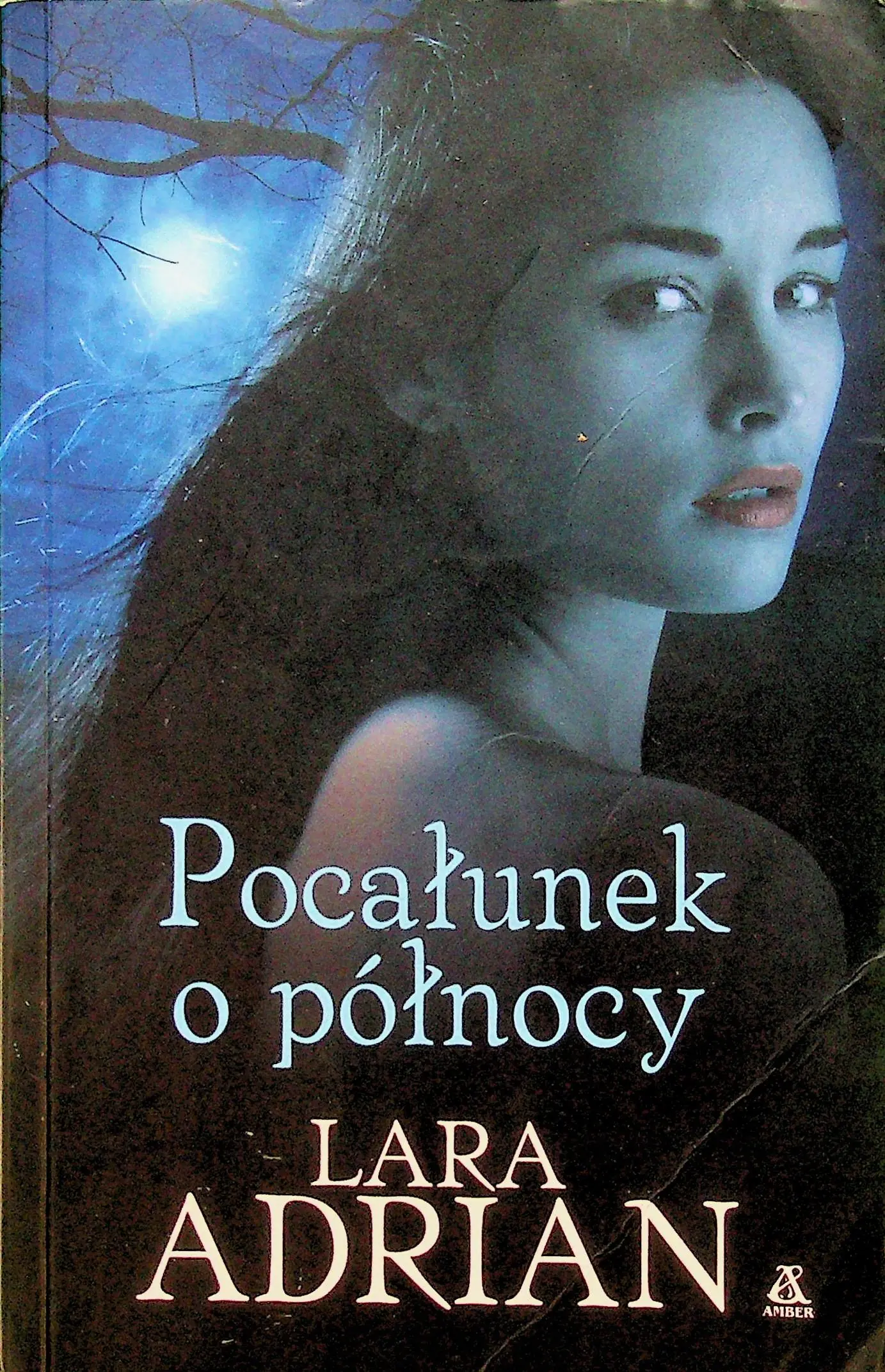 Książka - Pocałunek o północy