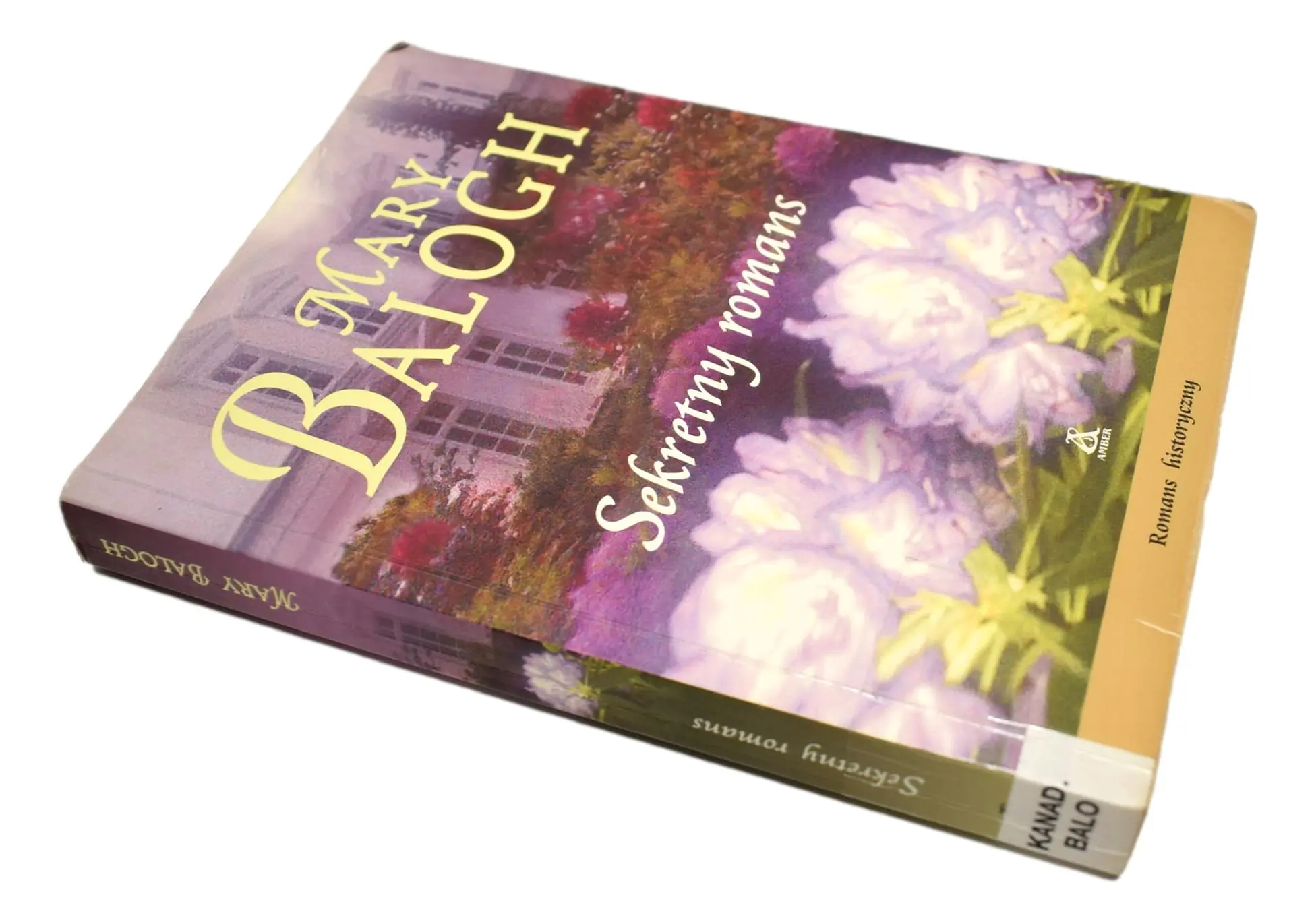 Książka - Sekretny romans