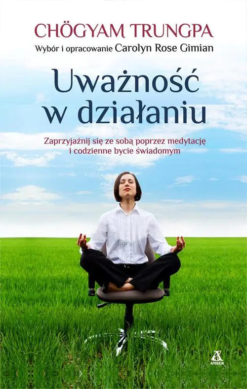Książka - Uważność w działaniu