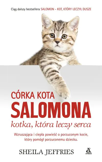 Książka - Córka kota salomona kotka która leczyła serca