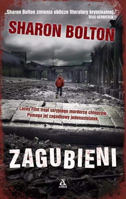 Książka - Zagubieni. Lacey Flint. Tom 3