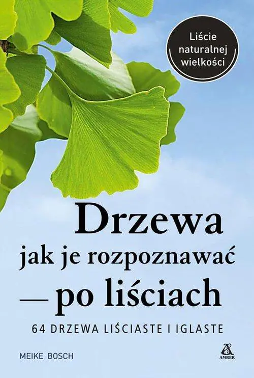 Książka - Drzewa – jak je rozpoznawać po liściach