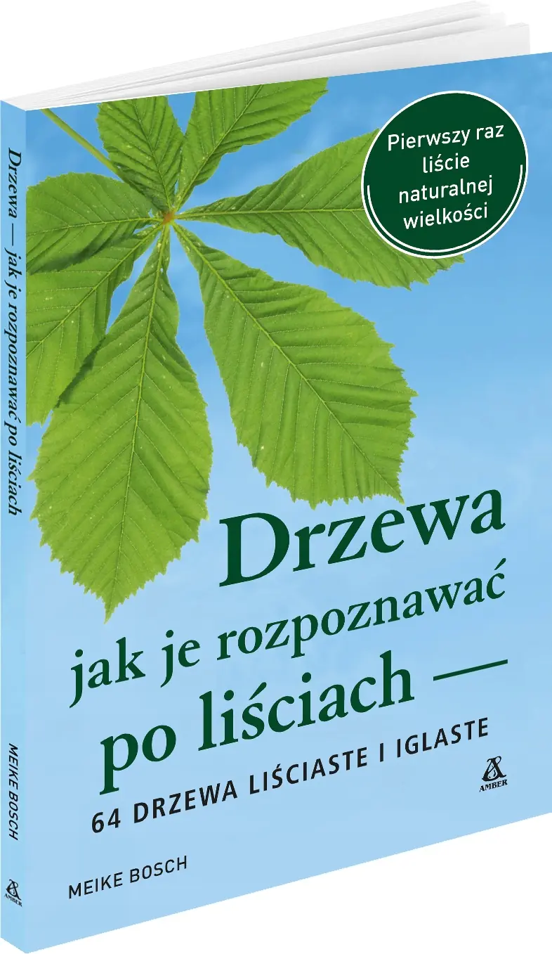 Książka - Drzewa. Jak je rozpoznawać