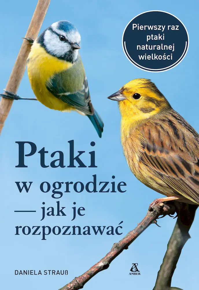 Książka - Ptaki w ogrodzie - jak je rozpoznawać