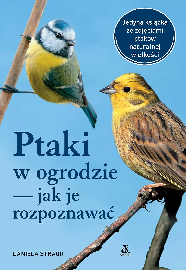Książka - Ptaki w ogrodzie jak je rozpoznawać