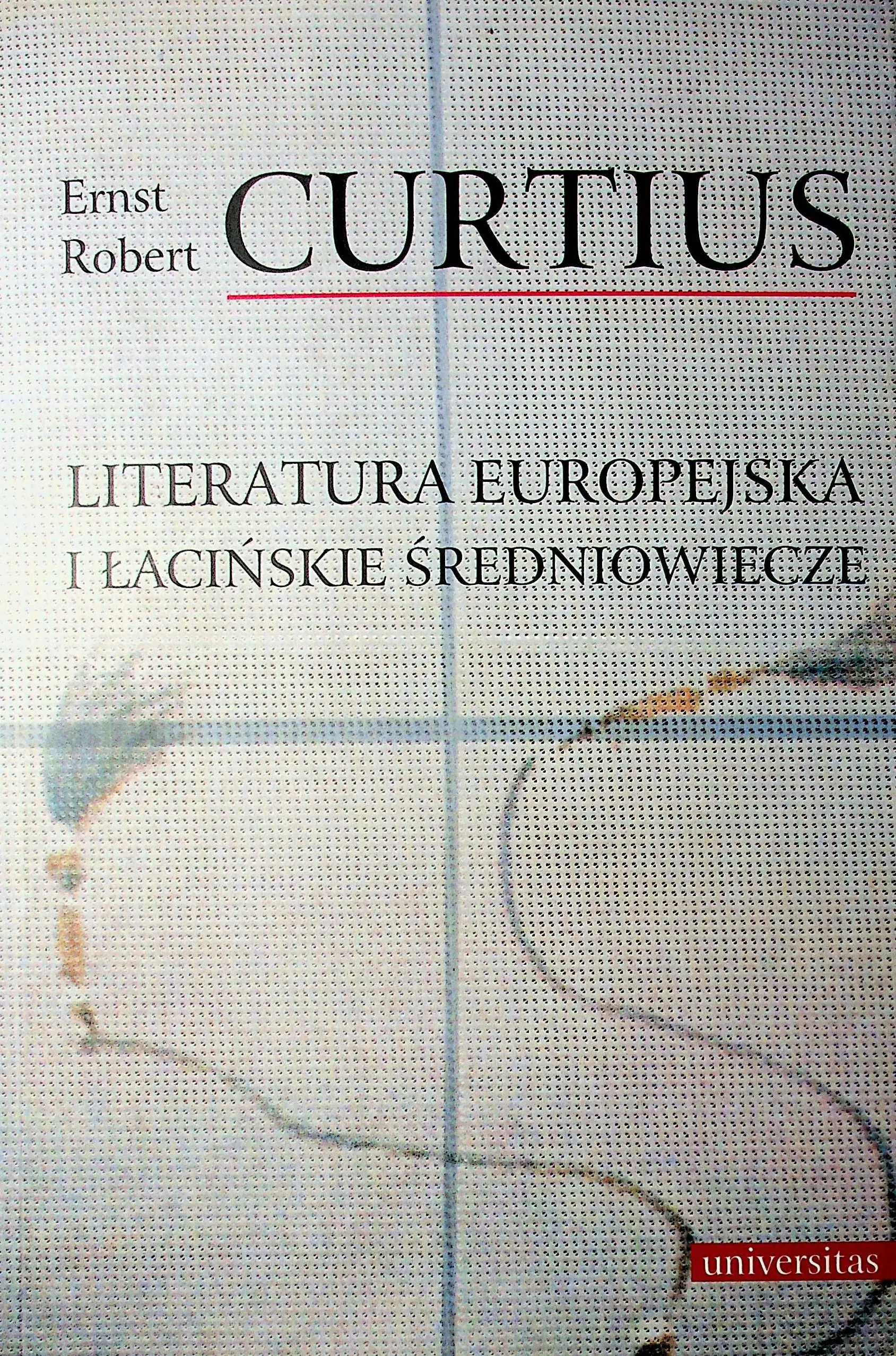 Książka - Literatura europejska i łacińskie średniowiecze