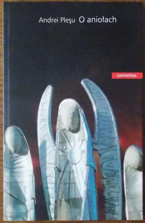 Książka - O aniołach