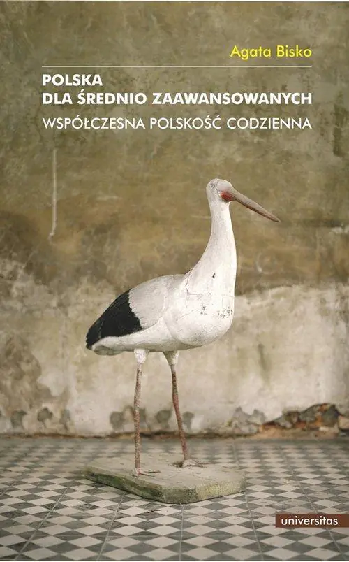 Książka - Polska dla średnio zaawansowanych. Współczesna polskość codzienna