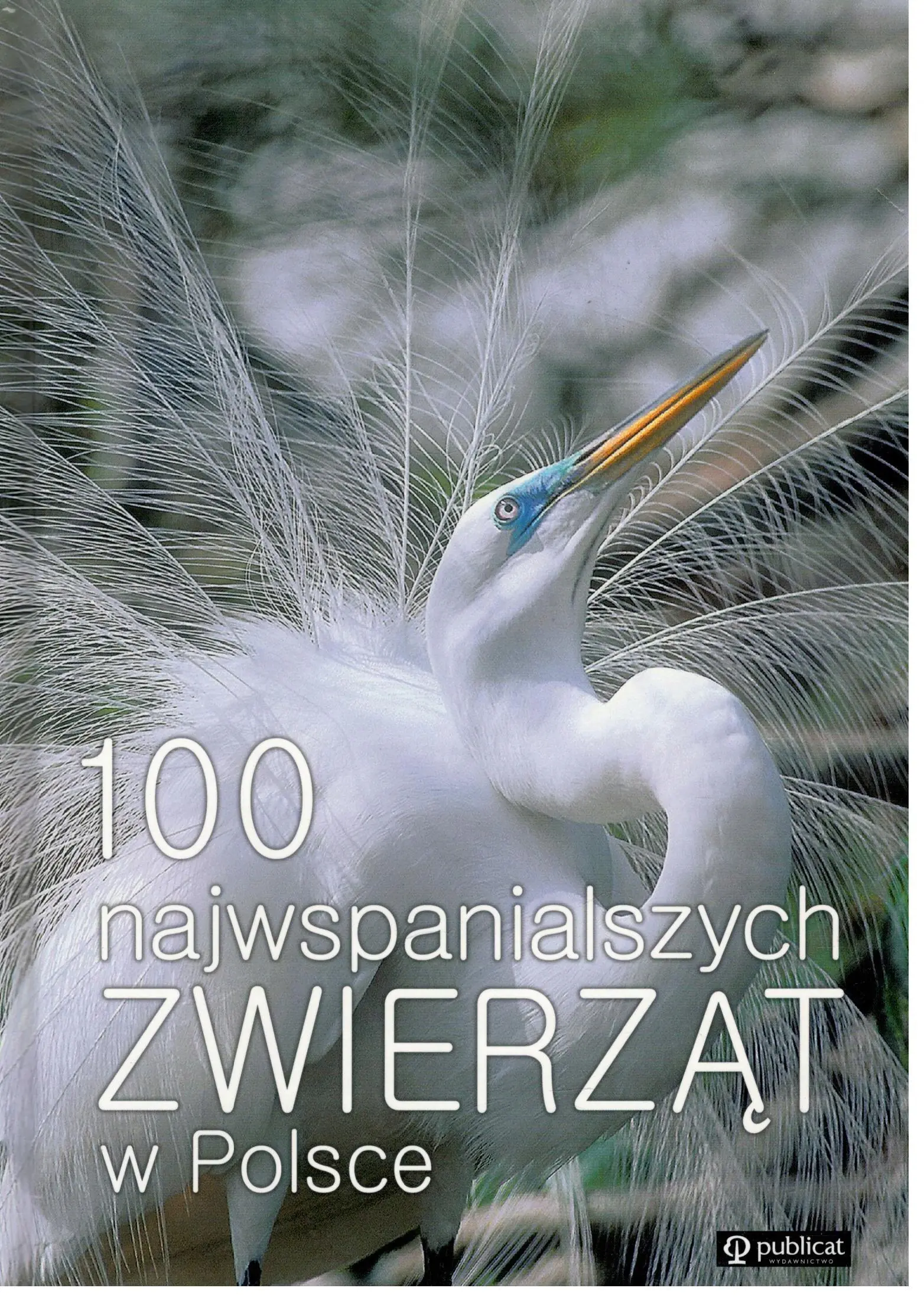 Książka - 100 Najwspanialszych zwierząt w Polsce