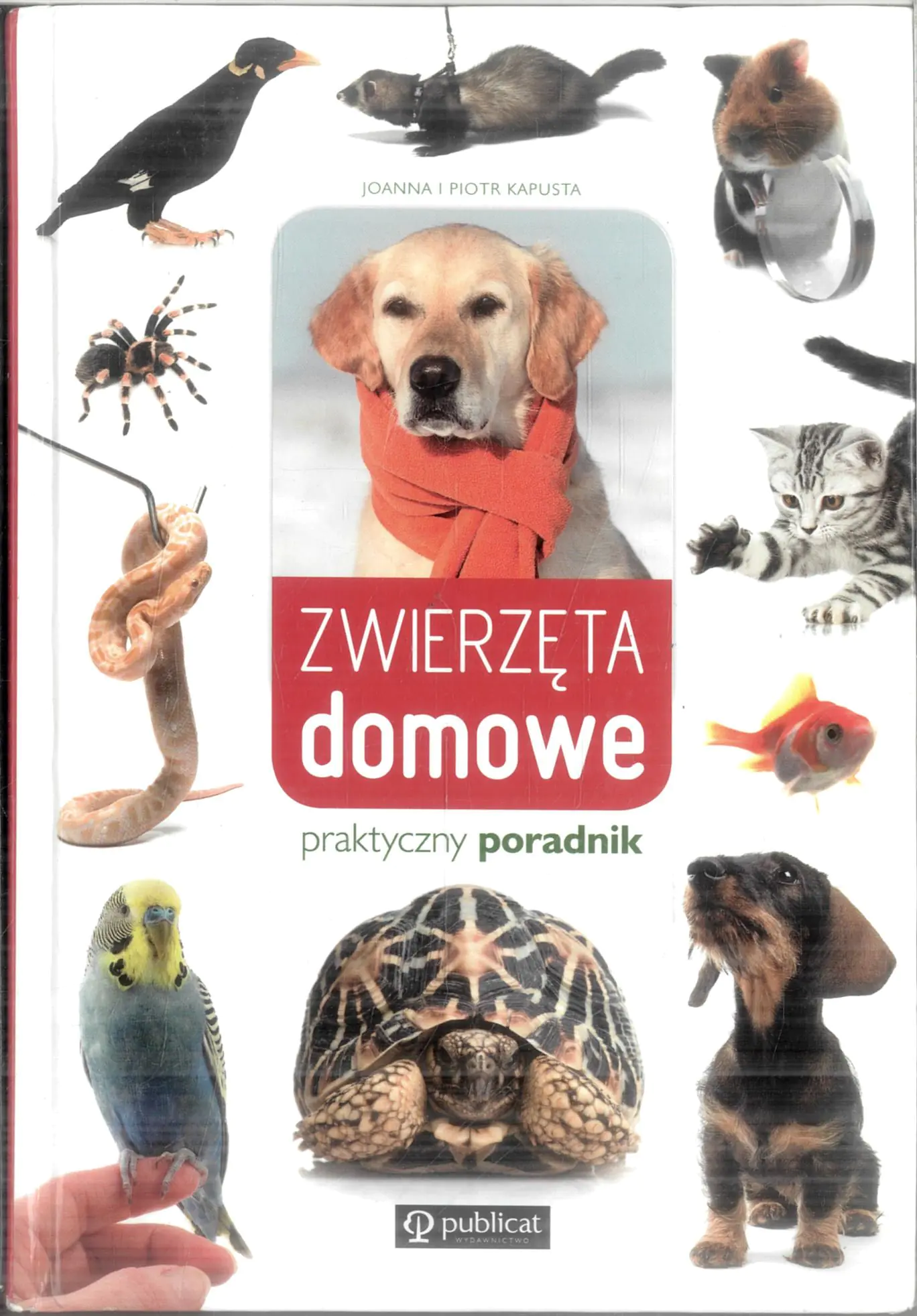 Książka - Zwierzęta domowe. Praktyczny poradnik