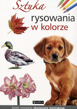Książka - Sztuka rysowania w kolorze