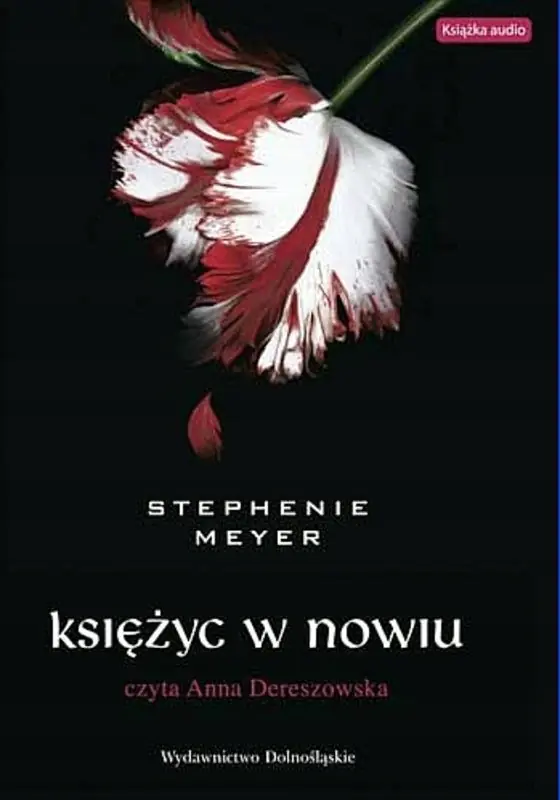 Księżyc w nowiu