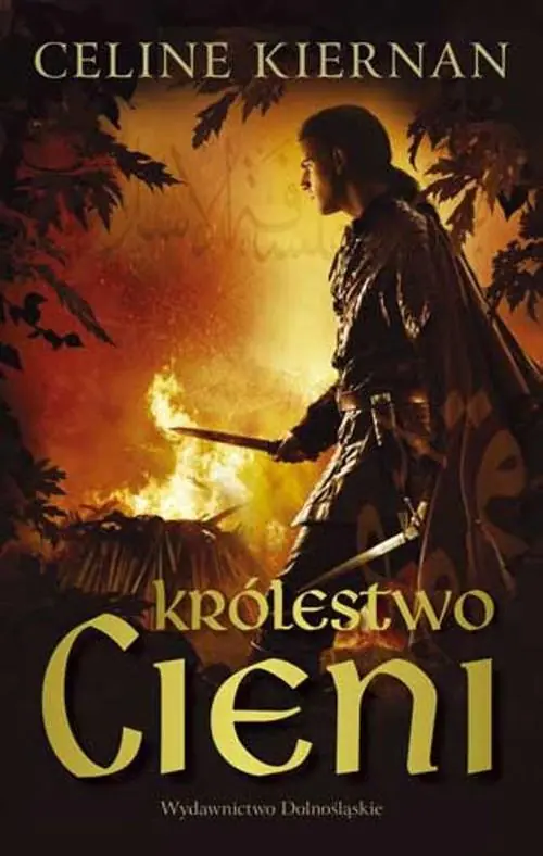 Książka - Królestwo cieni. Trylogia Moorehawke 2