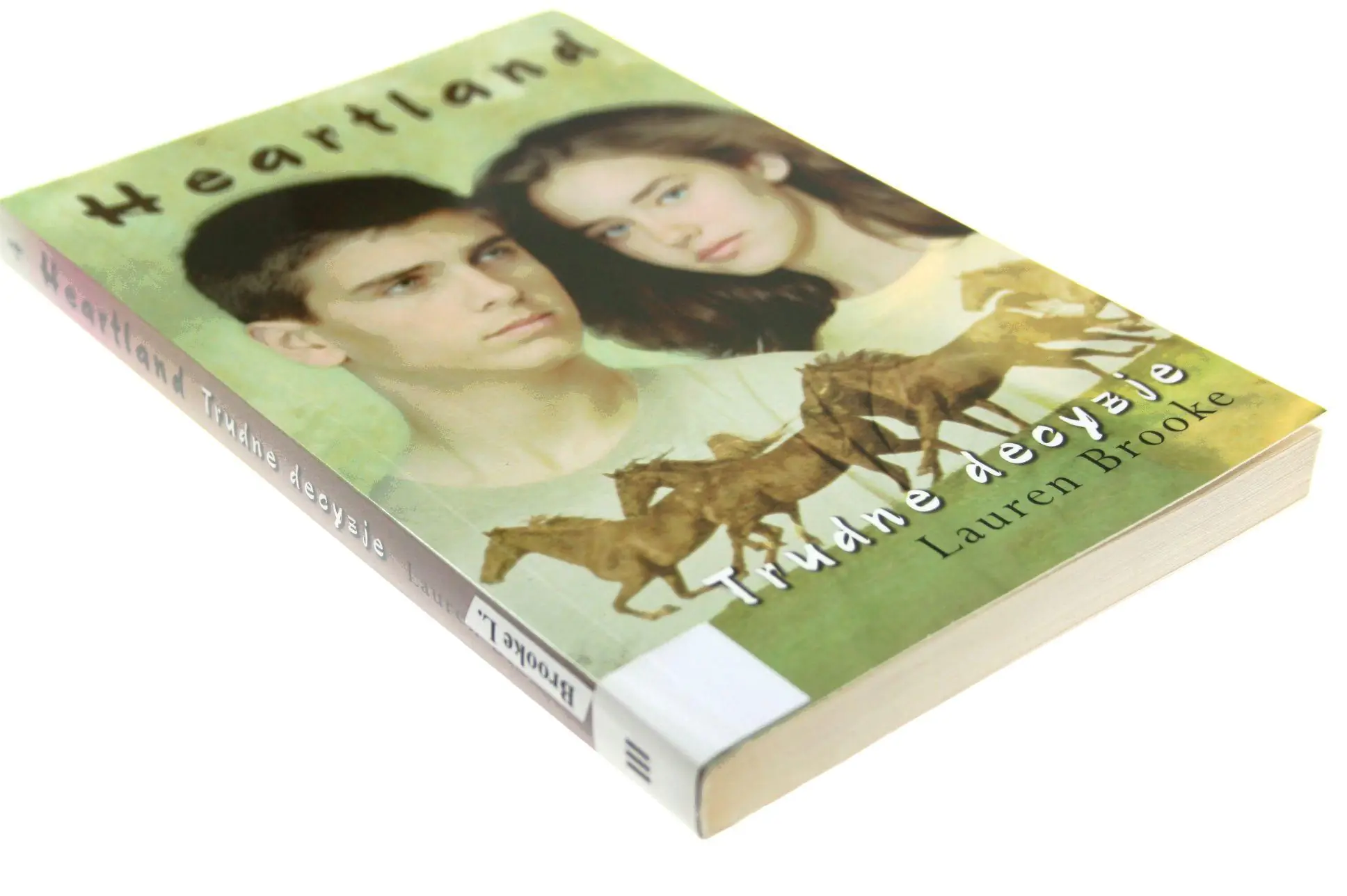 Książka - Heartland 4. Trudne decyzje