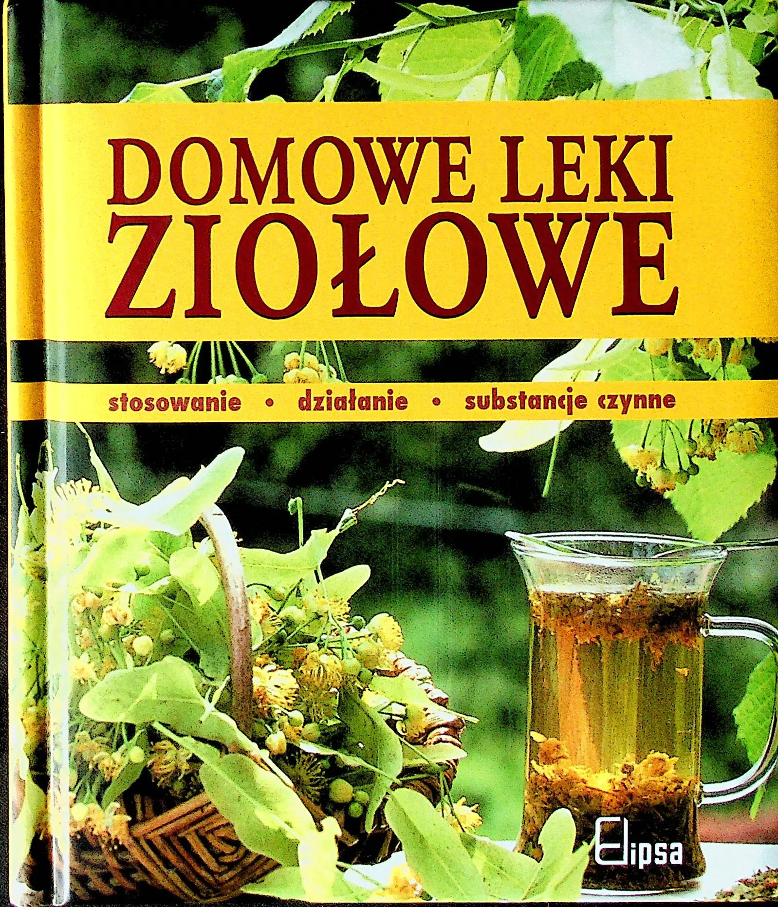 Książka - Domowe leki ziołowe. Leksykon