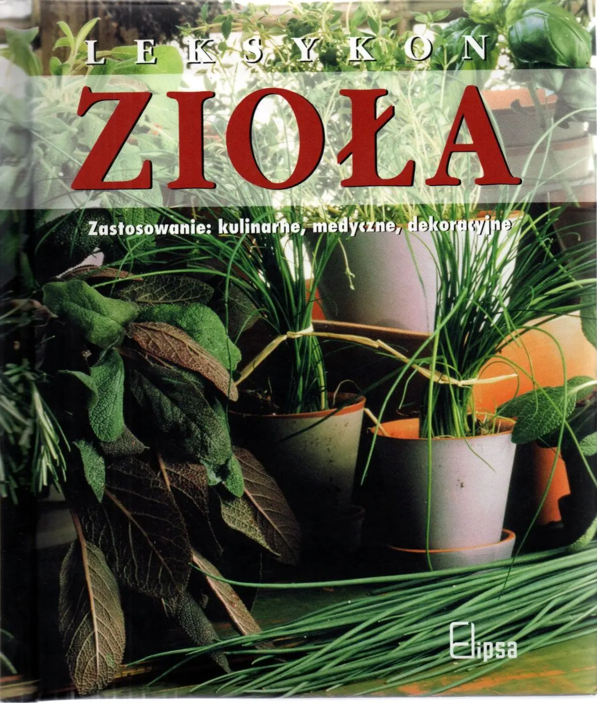 Książka - Zioła. Leksykon