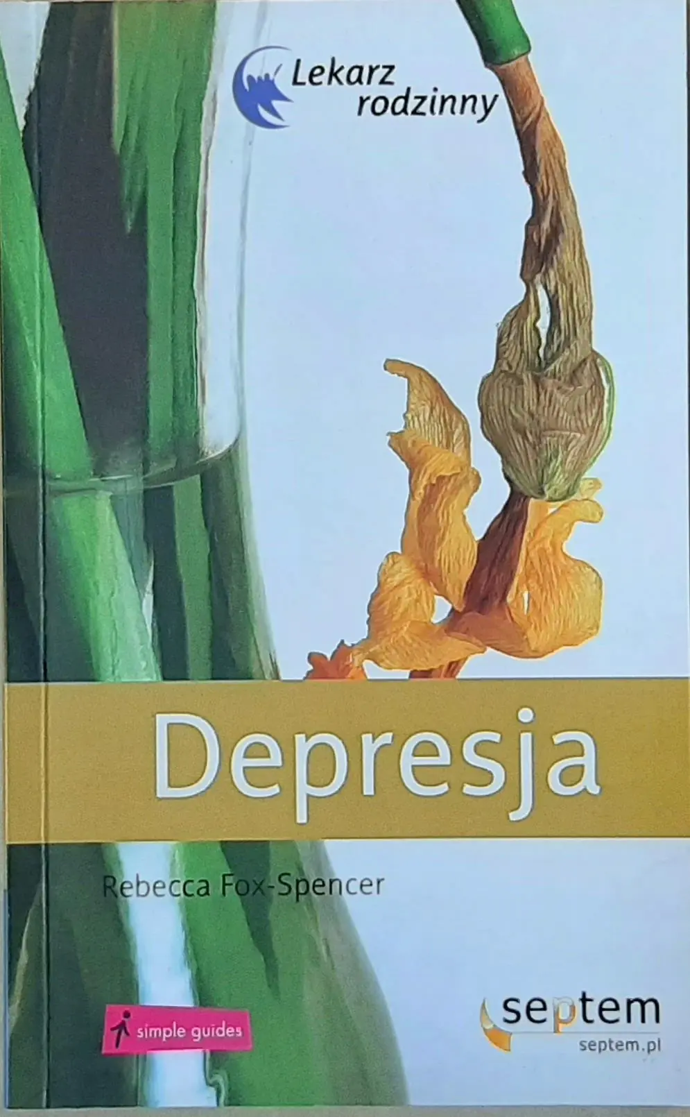 Książka - Depresja. Lekarz rodzinny