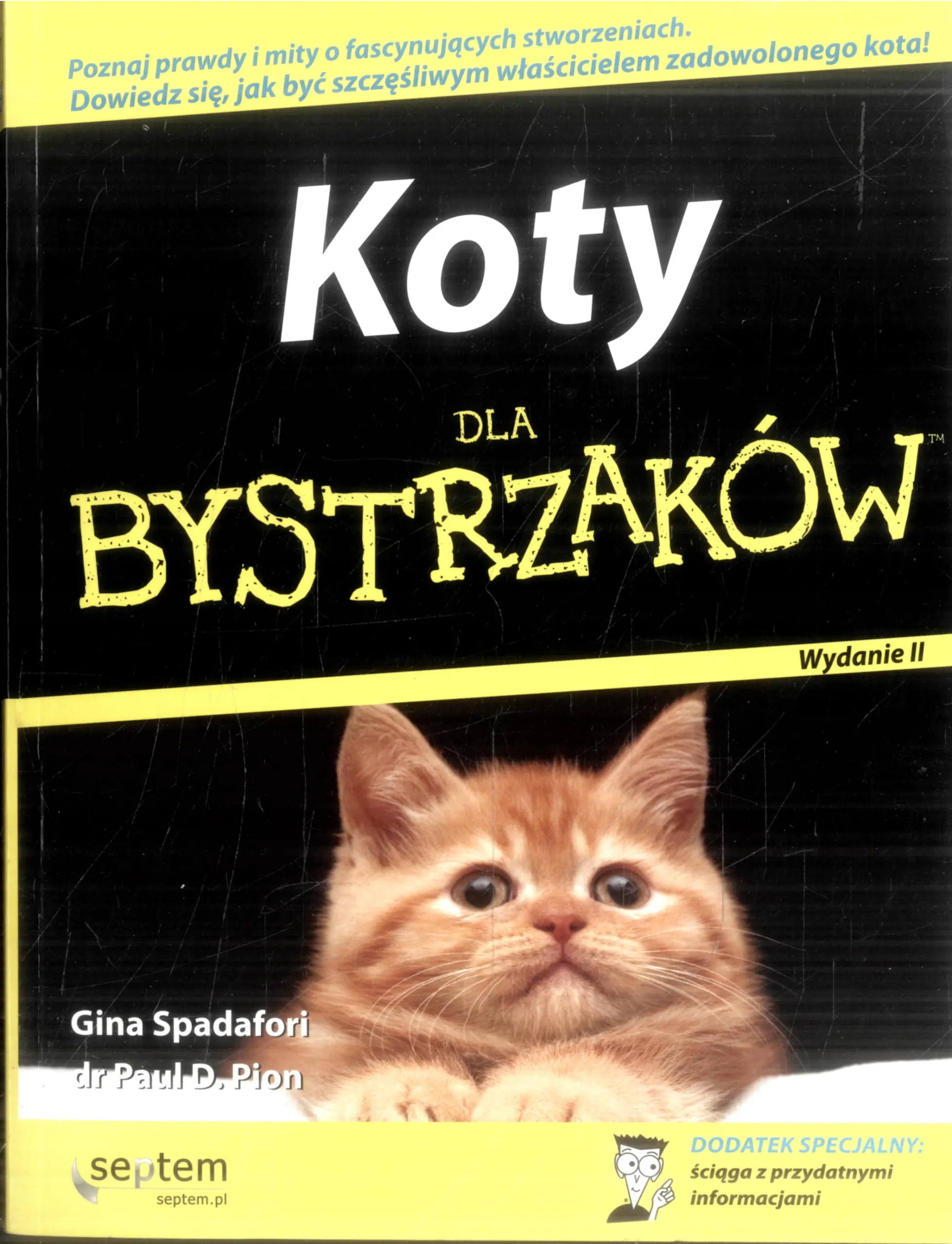 Książka - Koty dla bystrzaków