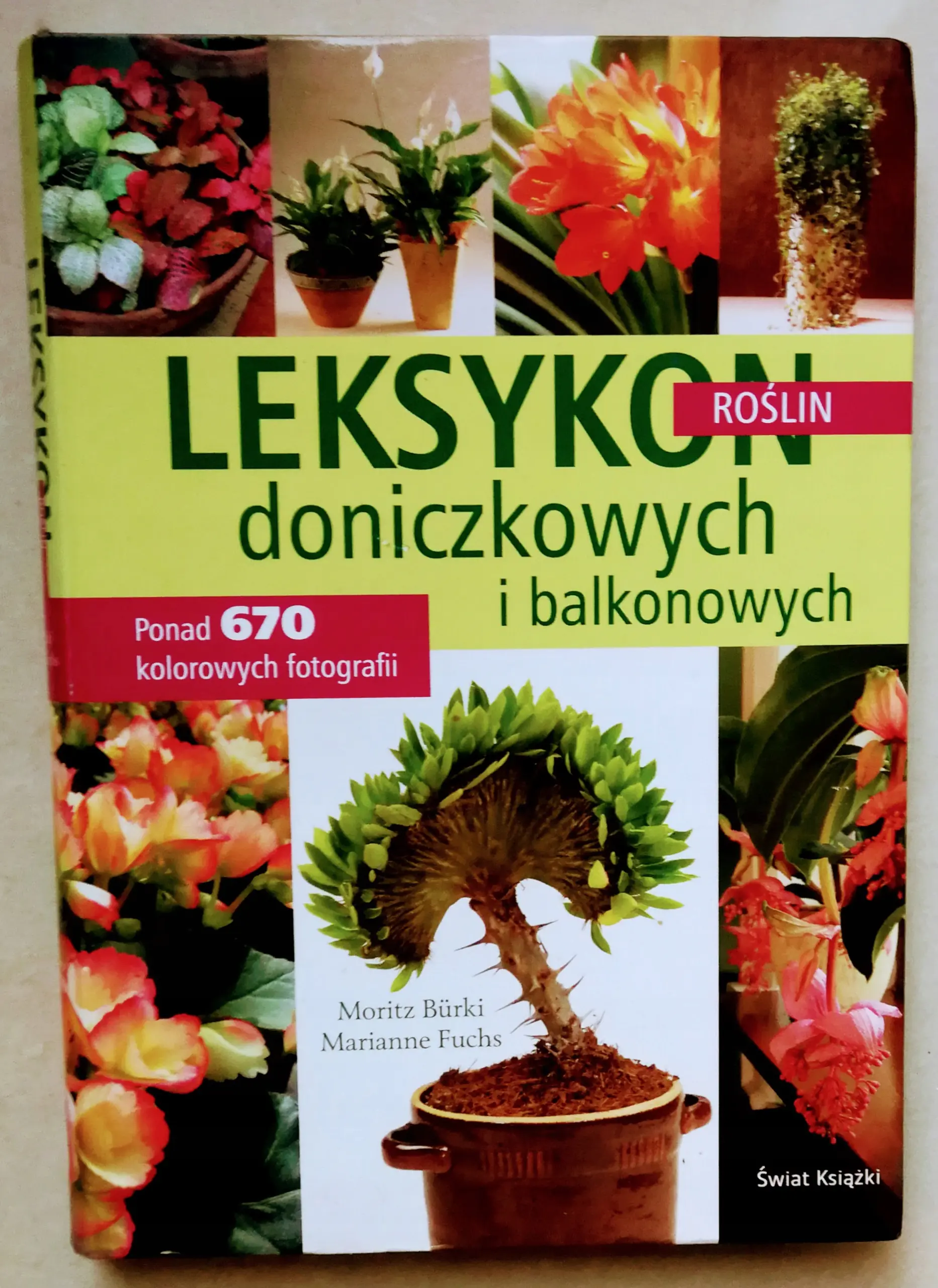 Leksykon roślin doniczkowych i balkonowych