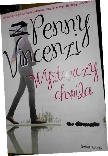 Książka - Wystarczy chwila