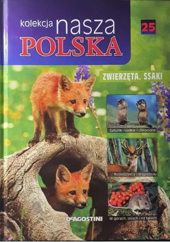 Książka - Nasza Polska Zwierzęta
