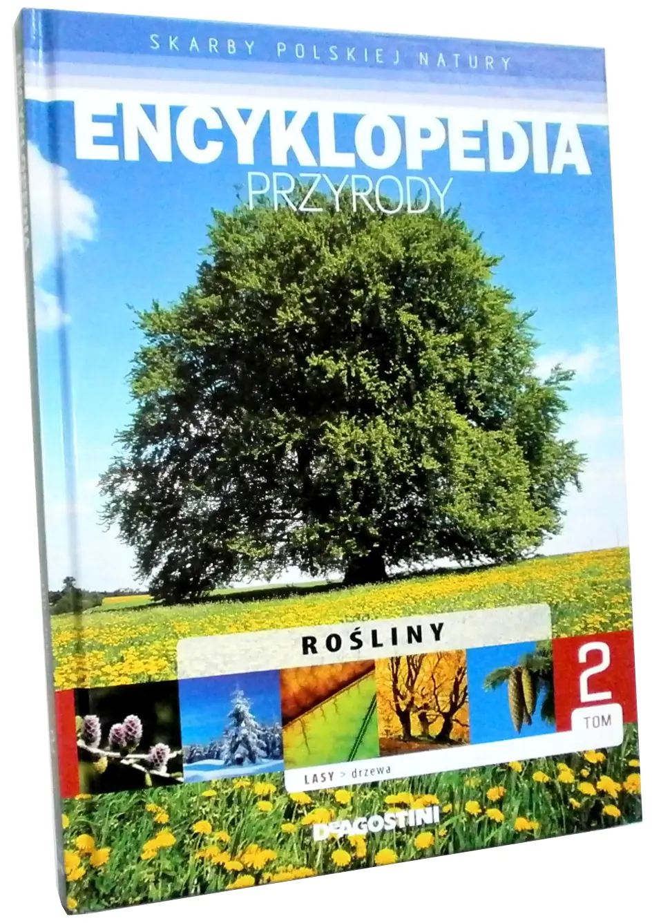 Książka - Encyklopedia Przyrody Tom 2 Lasy drzewa