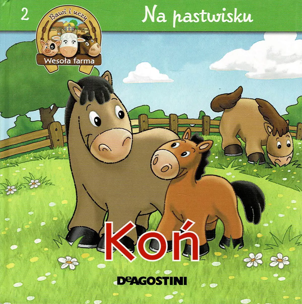Książka - Koń: na pastwisku