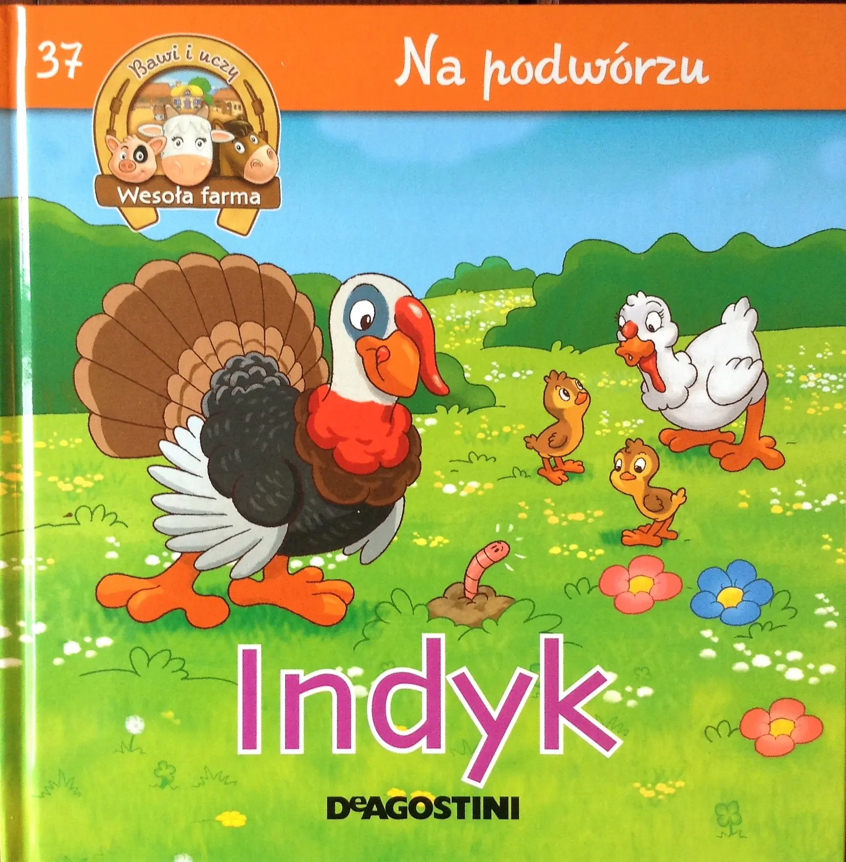 Książka - 37 Na podwórzu Indyk